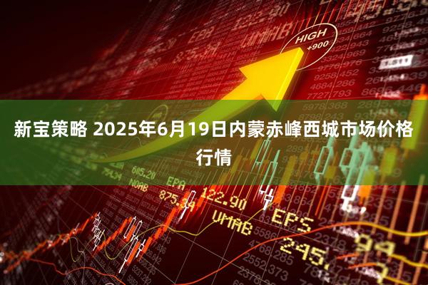 新宝策略 2025年6月19日内蒙赤峰西城市场价格行情
