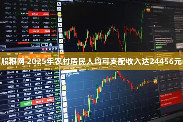 股粮网 2025年农村居民人均可支配收入达24456元